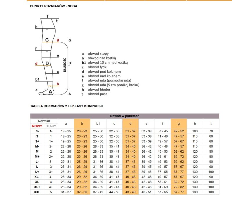 Avicenum PHLEBO 360 AG S LONG 1D 8001 natura pończochy samonośne, czubek otwarty, z lamówką - obrazek 2